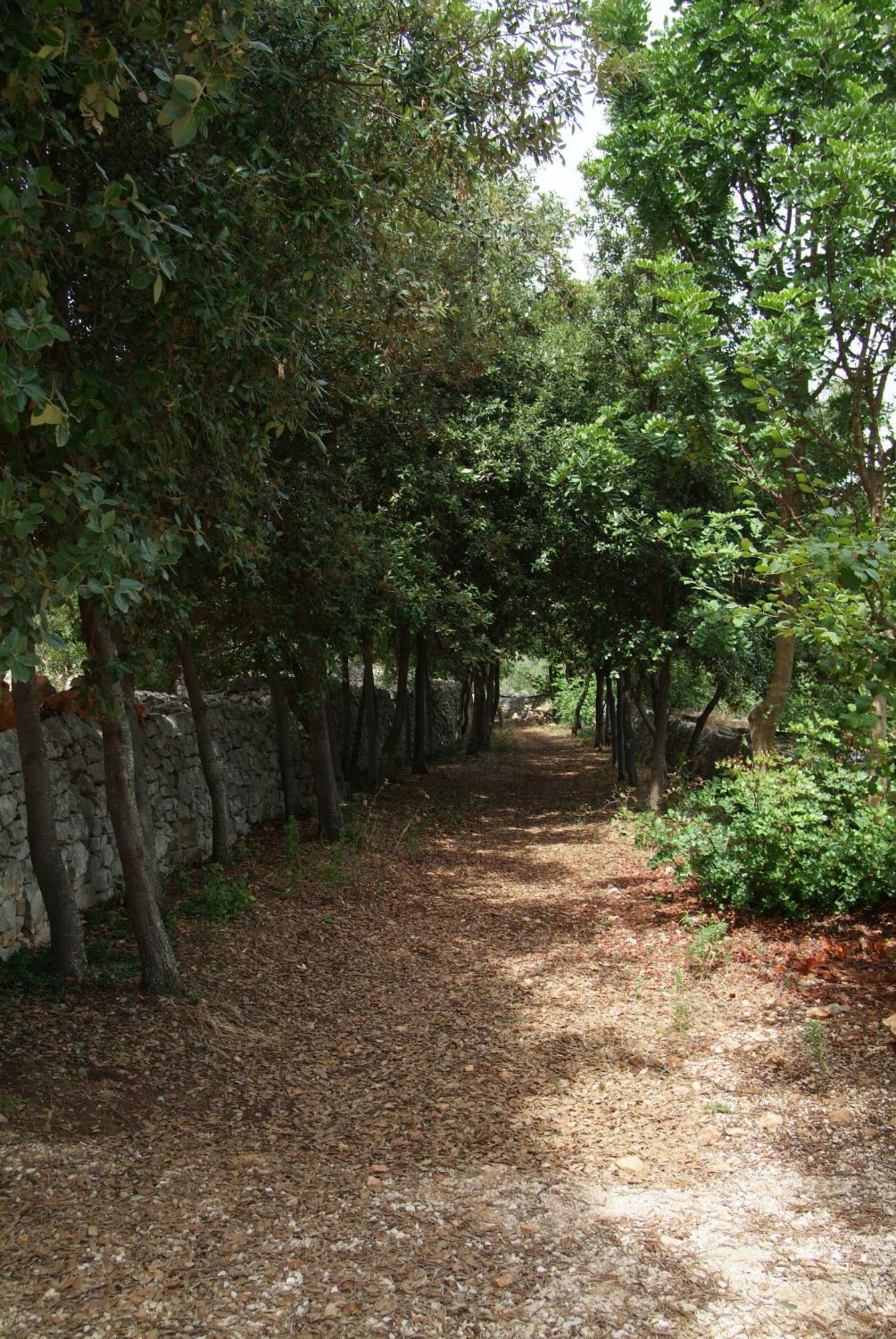 Masseria Trotta B&B 파사노 외부 사진