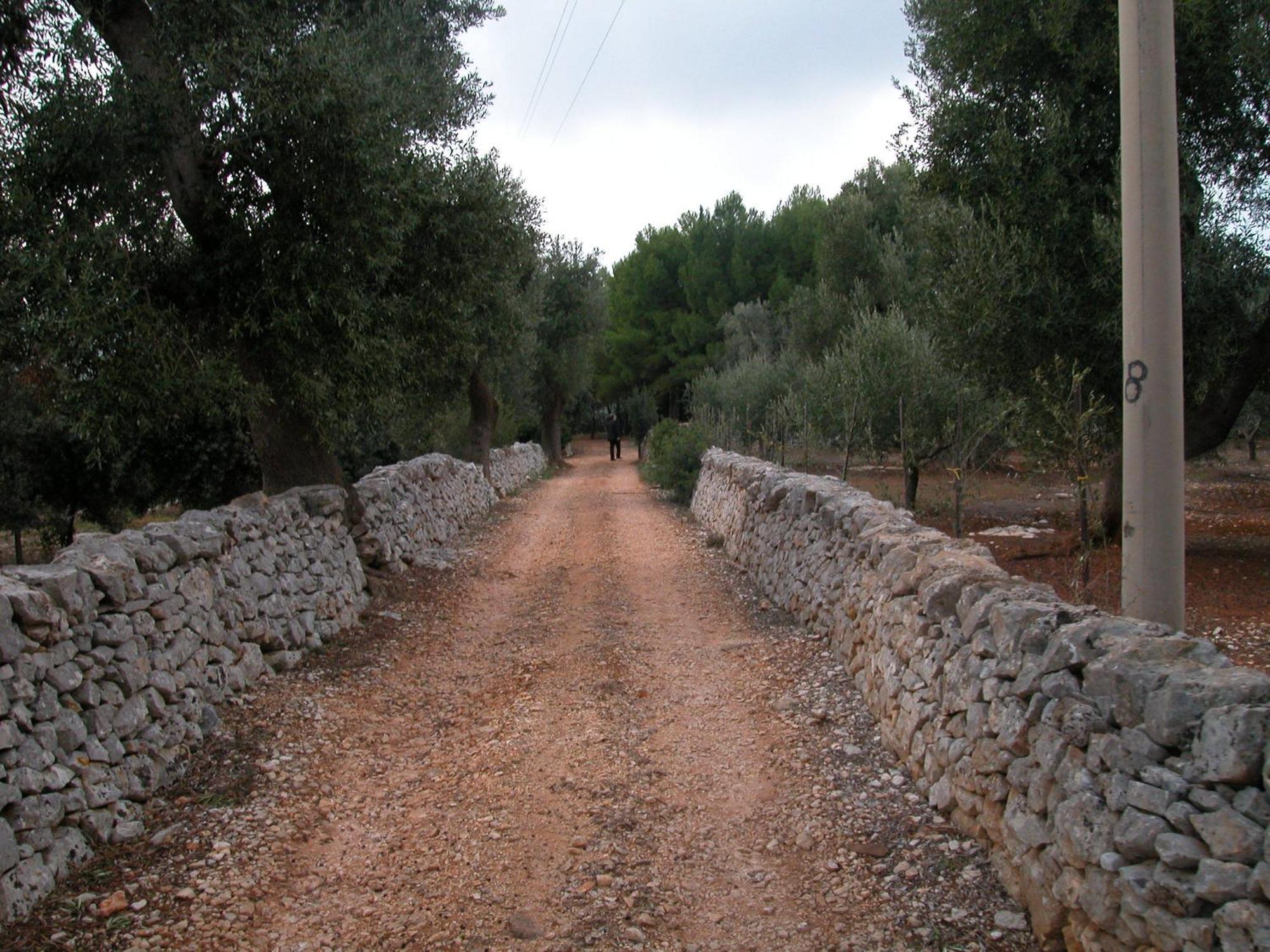 Masseria Trotta B&B 파사노 외부 사진